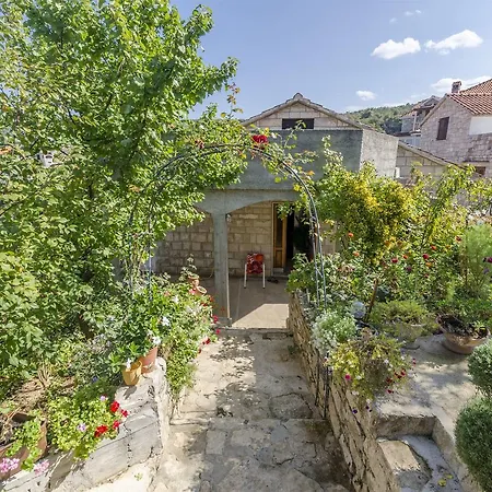Ferienhaus House Lucica *